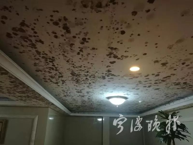 回南天氣梅雨季墻面受潮發霉用除濕機好嗎？