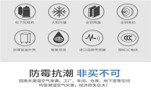 為什么房子潮濕會有危害？
