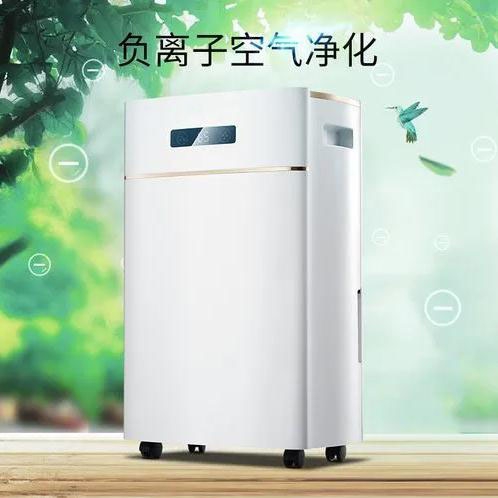 開學季寢室潮濕臟亂，安詩曼除濕機為家長擺平擔憂的潮濕問題