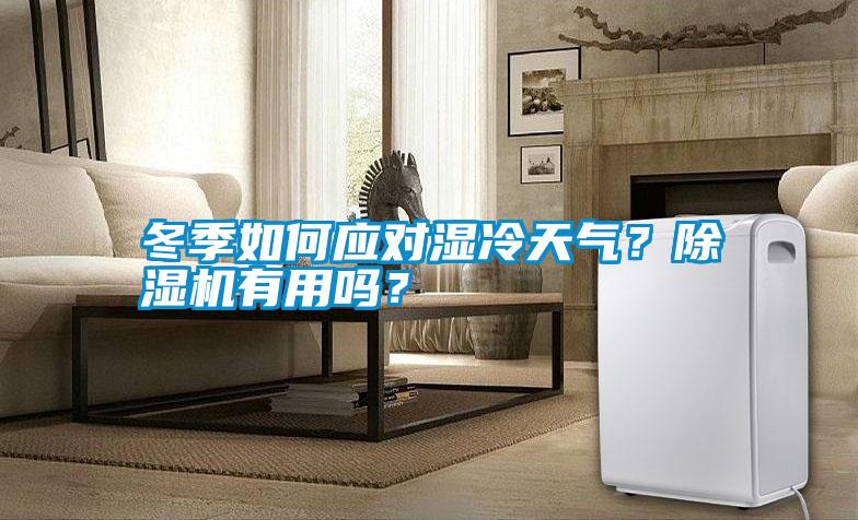 冬季如何應對濕冷天氣？除濕機有用嗎？