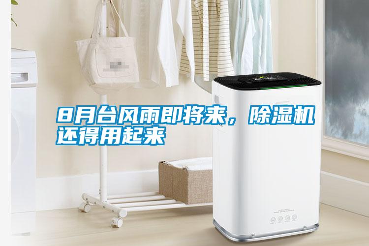 8月臺風雨即將來，除濕機還得用起來