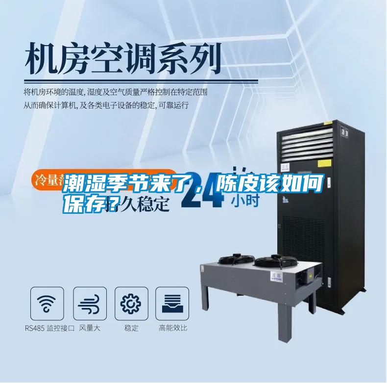 潮濕季節來了，陳皮該如何保存？