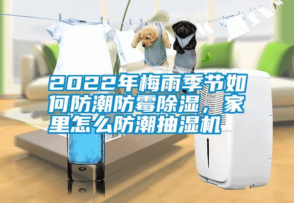 2022年梅雨季節如何防潮防霉除濕，家里怎么防潮抽濕機
