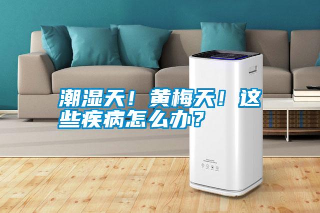 潮濕天！黃梅天！這些疾病怎么辦？