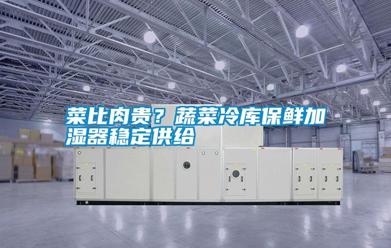 菜比肉貴？蔬菜冷庫保鮮加濕器穩定供給