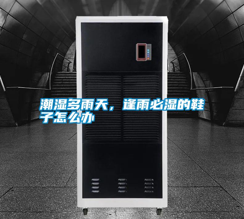 潮濕多雨天，逢雨必濕的鞋子怎么辦
