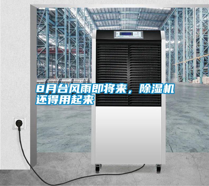 8月臺風雨即將來，除濕機還得用起來