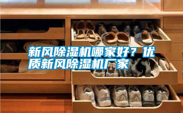新風除濕機哪家好？優質新風除濕機廠家
