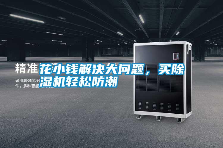 花小錢解決大問題，買除濕機輕松防潮