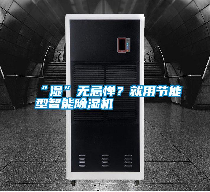 “濕”無忌憚？就用節能型智能除濕機