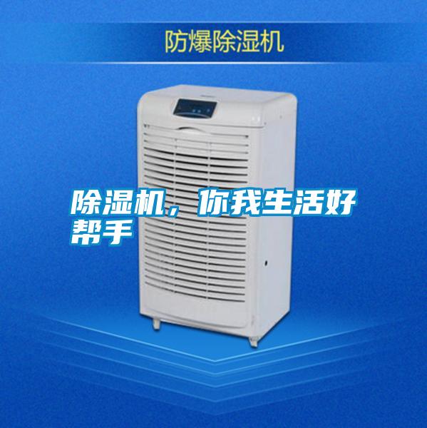 除濕機，你我生活好幫手