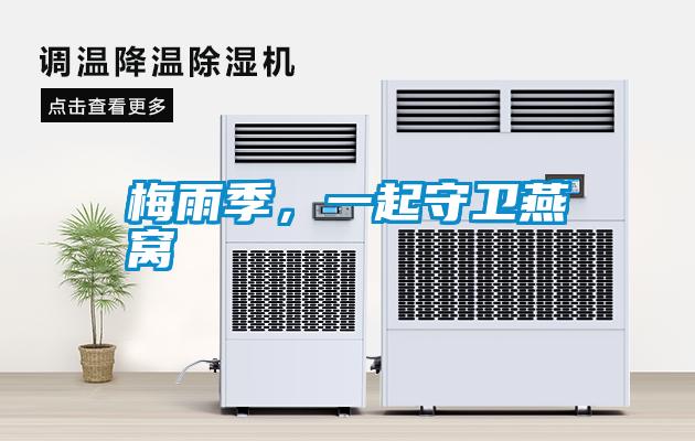 梅雨季，一起守衛燕窩