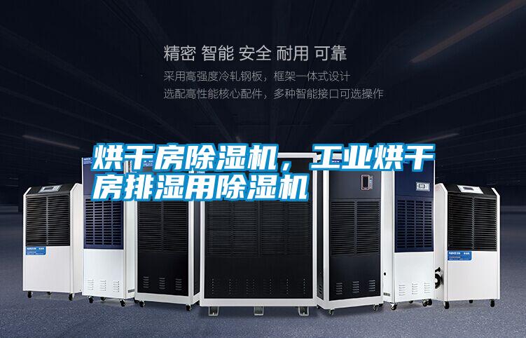 烘干房除濕機，工業烘干房排濕用除濕機