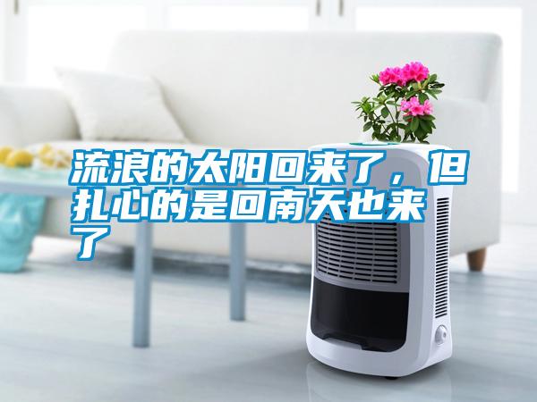 流浪的太陽回來了，但扎心的是回南天也來了