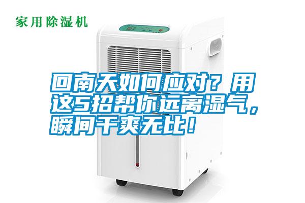 回南天如何應對？用這5招幫你遠離濕氣，瞬間干爽無比！