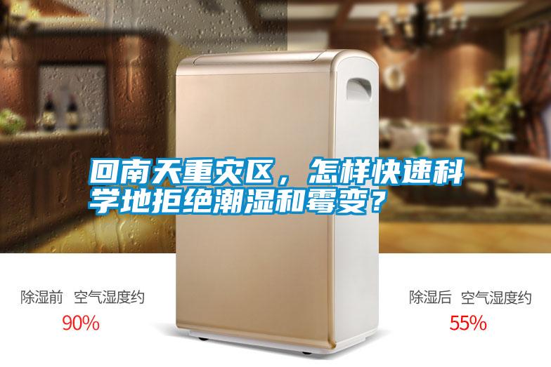 回南天重災區，怎樣快速科學地拒絕潮濕和霉變？
