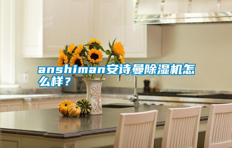 anshiman安詩曼除濕機怎么樣？