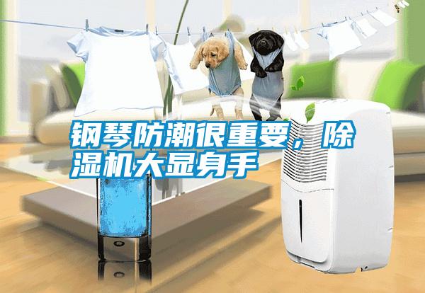 鋼琴防潮很重要，除濕機大顯身手
