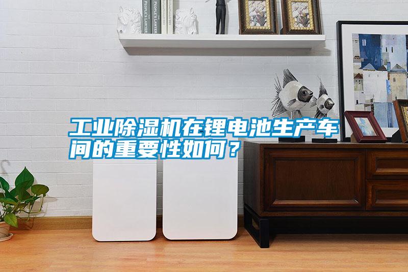 工業除濕機在鋰電池生產車間的重要性如何？