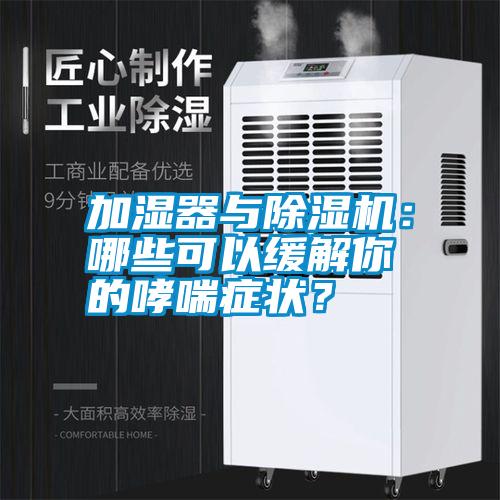 加濕器與除濕機：哪些可以緩解你的哮喘癥狀？