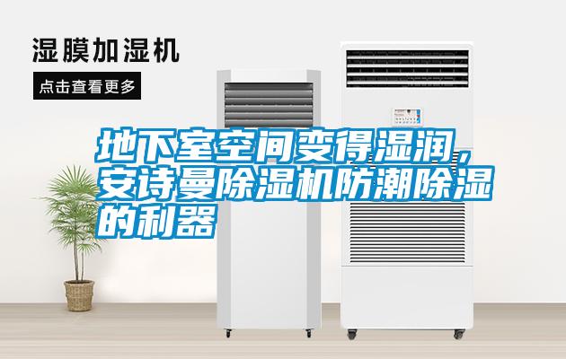 地下室空間變得濕潤，安詩曼除濕機防潮除濕的利器