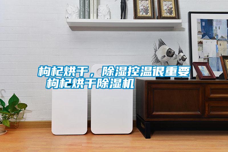 枸杞烘干，除濕控溫很重要 枸杞烘干除濕機