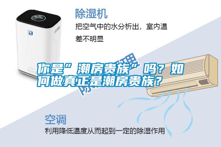 你是”潮房貴族”嗎？如何做真正是潮房貴族？