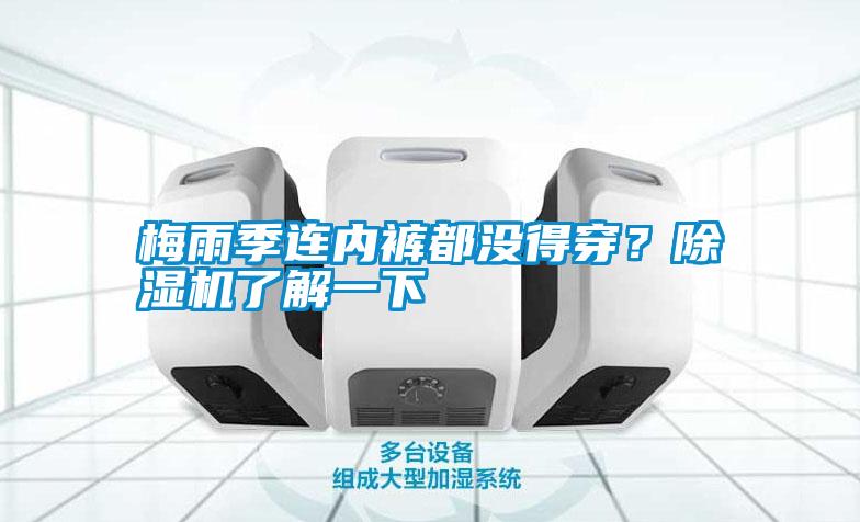 梅雨季連內褲都沒得穿？除濕機了解一下