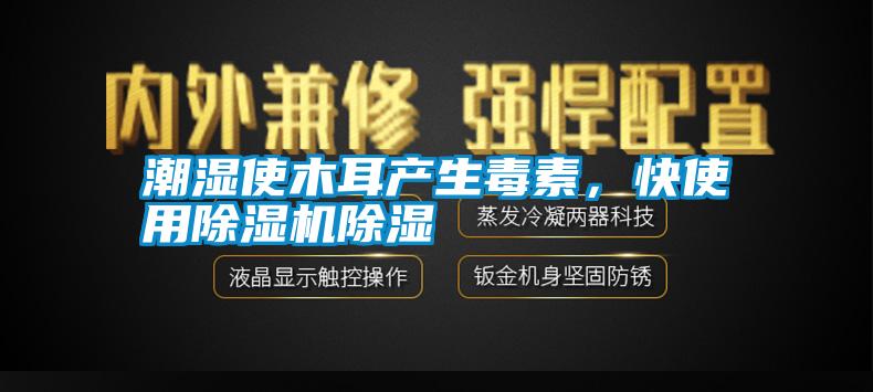 潮濕使木耳產生毒素，快使用除濕機除濕