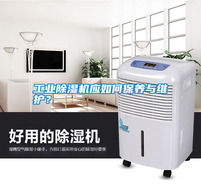 工業除濕機應如何保養與維護？
