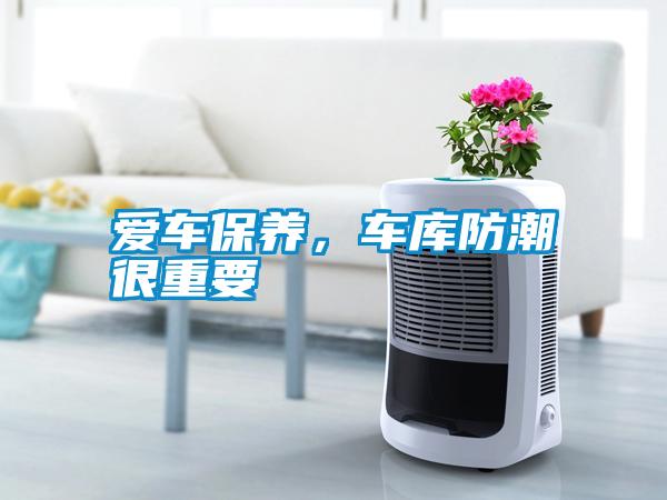 愛車保養，車庫防潮很重要