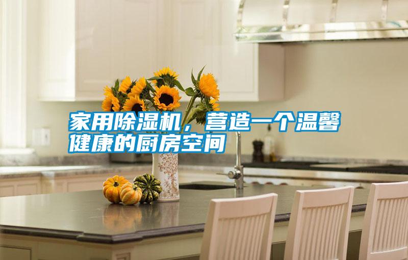家用除濕機，營造一個溫馨健康的廚房空間