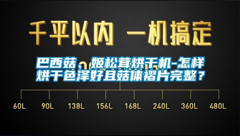巴西菇、姬松茸烘干機-怎樣烘干色澤好且菇體褶片完整？