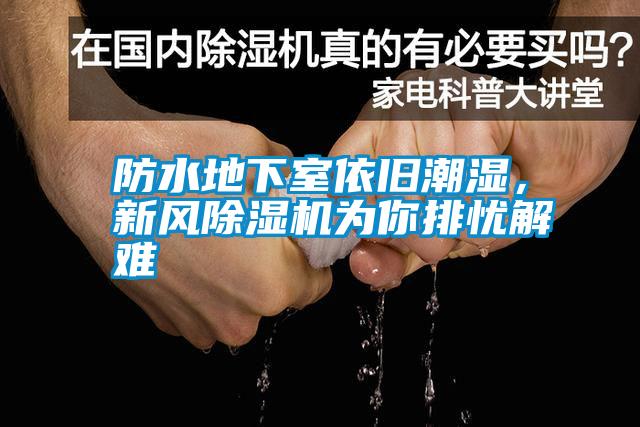 防水地下室依舊潮濕，新風除濕機為你排憂解難