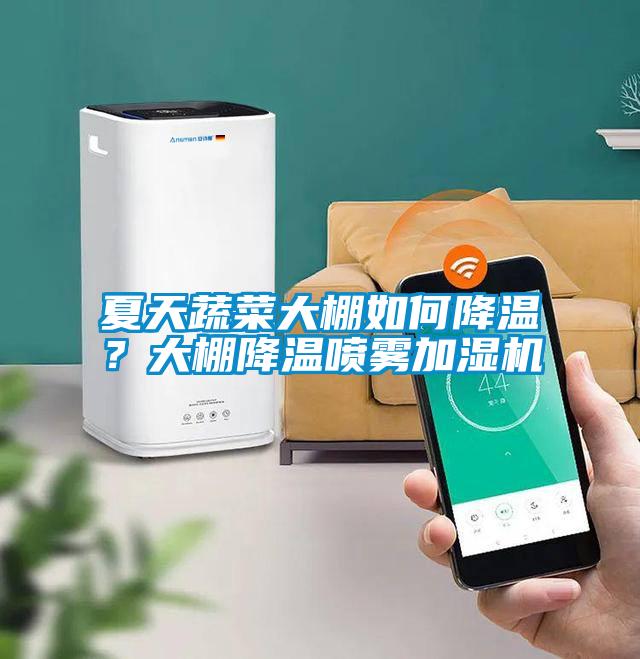 夏天蔬菜大棚如何降溫？大棚降溫噴霧加濕機