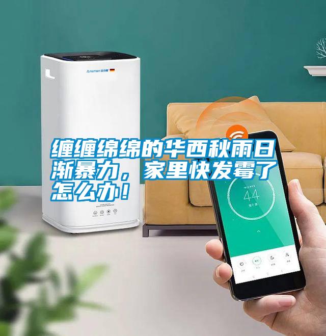 纏纏綿綿的華西秋雨日漸暴力，家里快發霉了怎么辦！