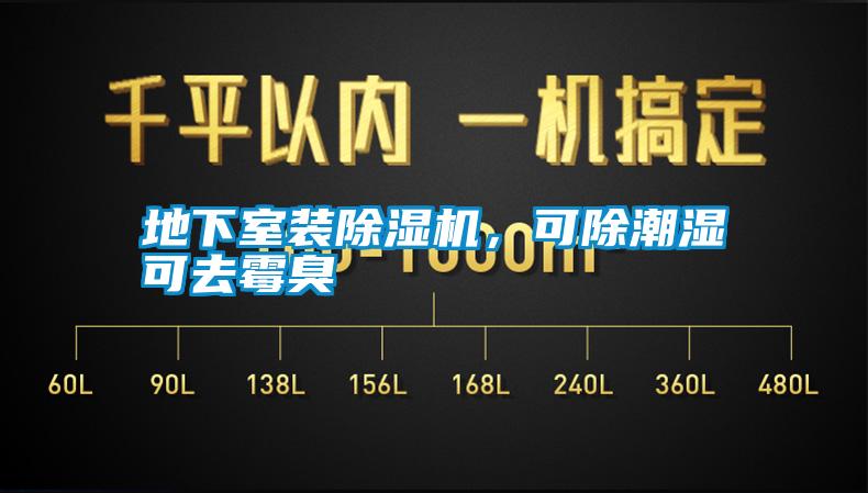 地下室裝除濕機，可除潮濕可去霉臭