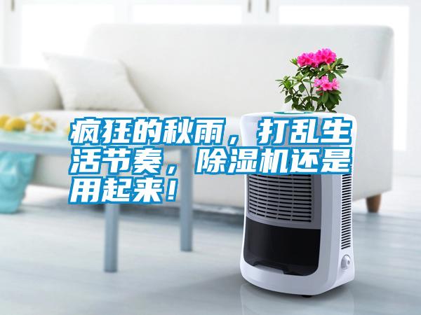瘋狂的秋雨，打亂生活節奏，除濕機還是用起來！
