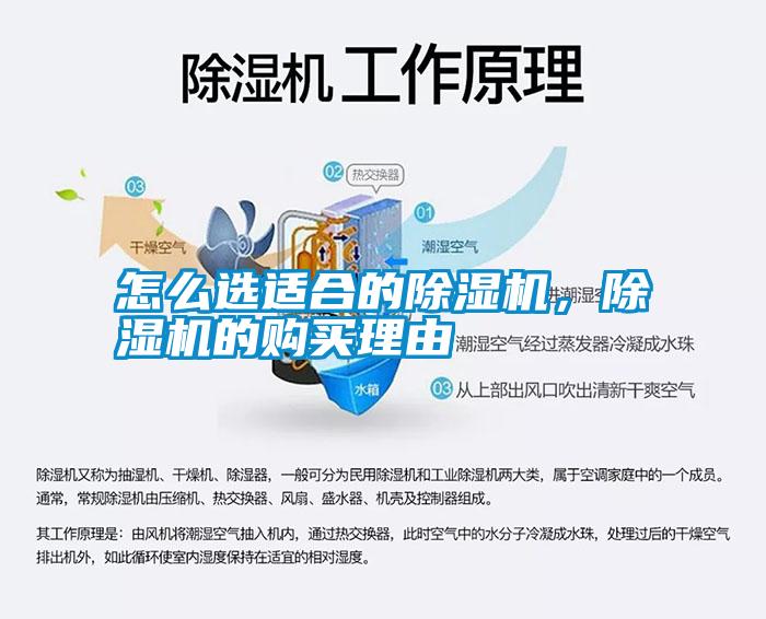 怎么選適合的除濕機，除濕機的購買理由