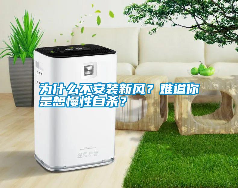 為什么不安裝新風？難道你是想慢性自殺？