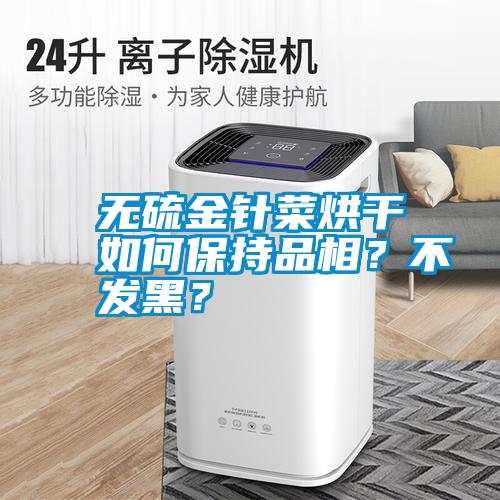 無硫金針菜烘干如何保持品相？不發黑？