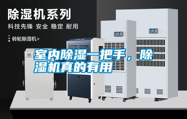 室內除濕一把手，除濕機真的有用