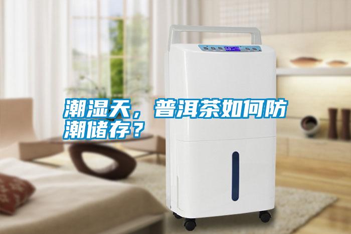 潮濕天，普洱茶如何防潮儲存？