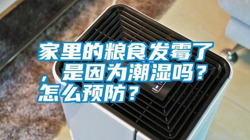 家里的糧食發霉了，是因為潮濕嗎？怎么預防？