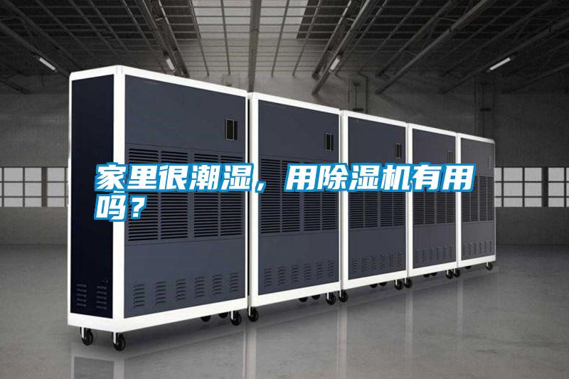 家里很潮濕，用除濕機有用嗎？