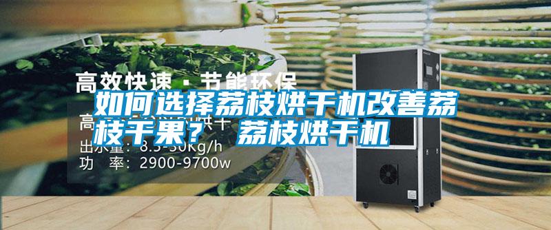 如何選擇荔枝烘干機改善荔枝干果？ 荔枝烘干機