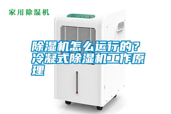 除濕機怎么運行的？冷凝式除濕機工作原理
