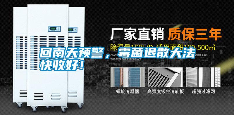 回南天預警，霉菌退散大法快收好！