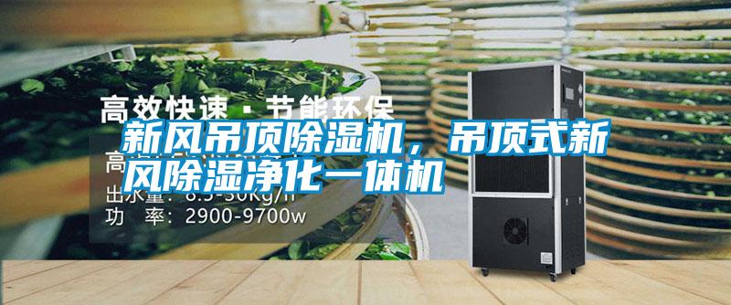 新風吊頂除濕機，吊頂式新風除濕凈化一體機