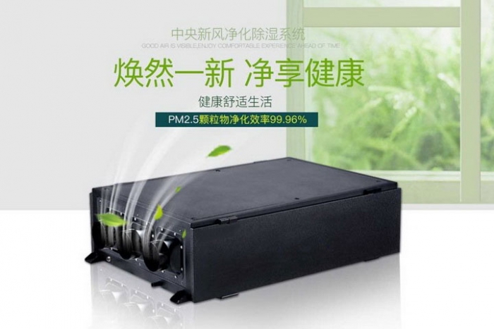 一年一度梅雨季快來了，這份除濕防潮全攻略搶先收藏！